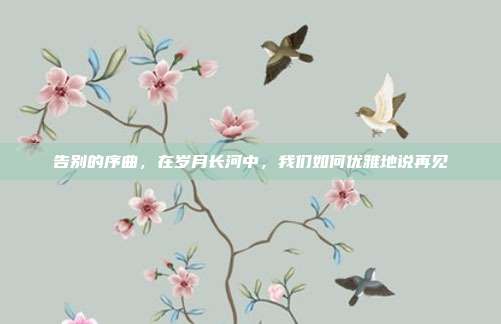 告别的序曲,在岁月长河中,我们如何优雅地说再见