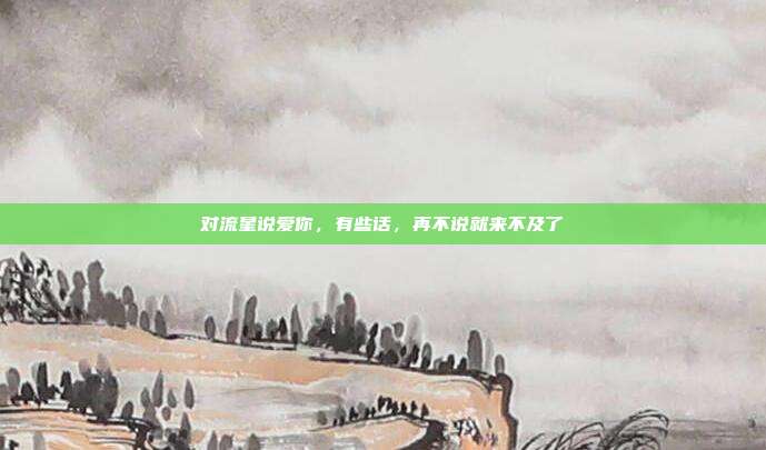 对流星说爱你，有些话，再不说就来不及了