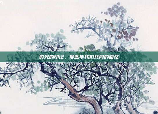 时光的印记，那些年我们共同的回忆