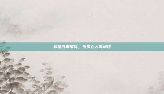 神明低垂眼眸，玫瑰在人间燃烧