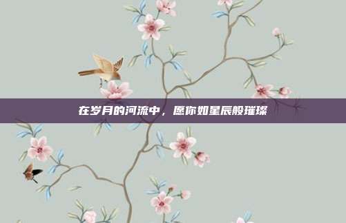 在岁月的河流中,愿你如星辰般璀璨