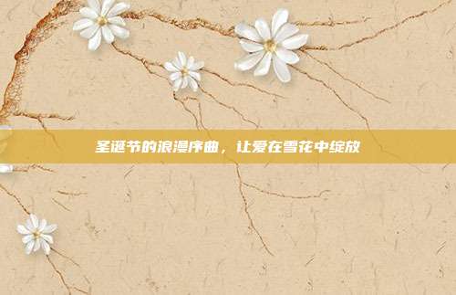 圣诞节的浪漫序曲，让爱在雪花中绽放