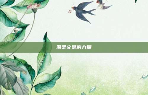 温柔文案的力量