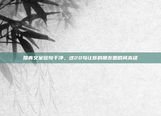 踏青文案短句干净，这20句让你的朋友圈瞬间高级
