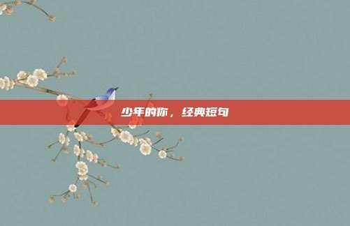 少年的你，经典短句