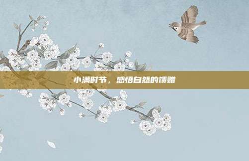 小满时节，感悟自然的馈赠