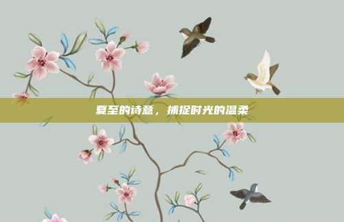 夏至的诗意,捕捉时光的温柔