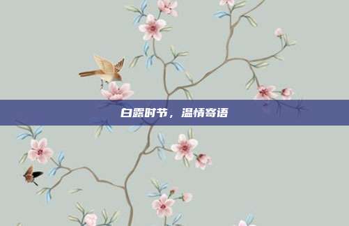 白露时节，温情寄语
