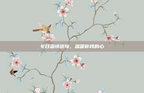 冬日温情短句,温暖你我的心
