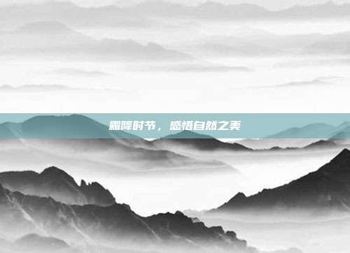 霜降时节,感悟自然之美