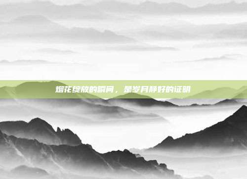 烟花绽放的瞬间,是岁月静好的证明