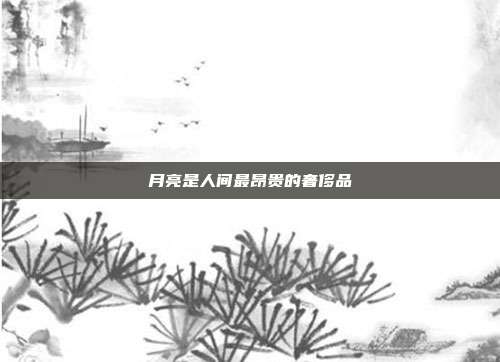 月亮是人间最昂贵的奢侈品
