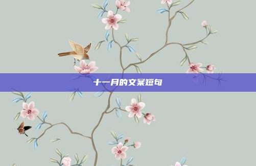 十一月的文案短句