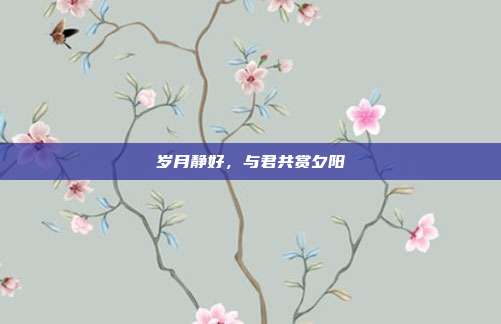 岁月静好,与君共赏夕阳