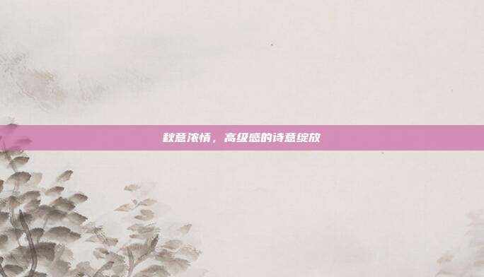 秋意浓情，高级感的诗意绽放