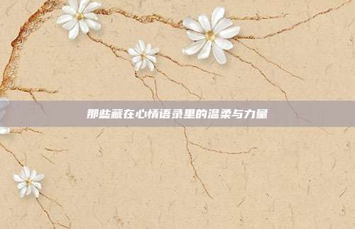 那些藏在心情语录里的温柔与力量