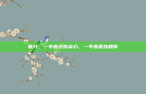 春分，一半春色以染心，一半春意以赠你