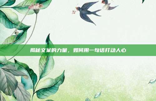 揭秘文案的力量,如何用一句话打动人心