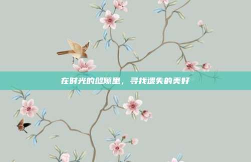 在时光的缝隙里,寻找遗失的美好