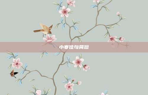 小寒佳句简短