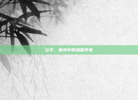 立冬，寒风中的温暖序章