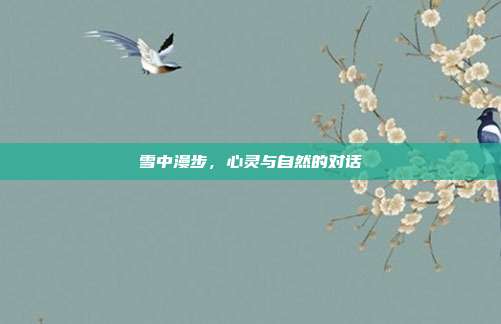 雪中漫步,心灵与自然的对话
