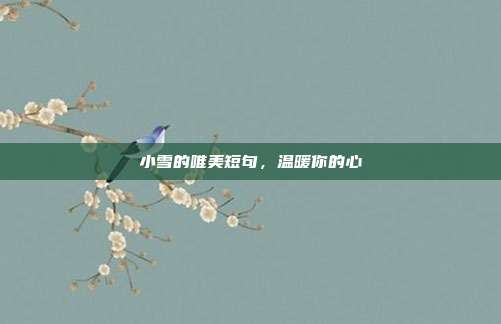 小雪的唯美短句,温暖你的心