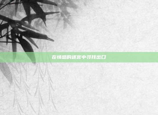 在情感的迷宫中寻找出口