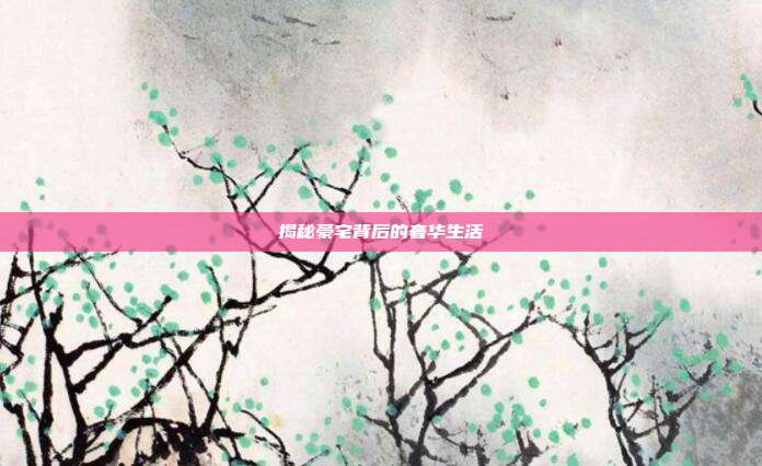 揭秘豪宅背后的奢华生活