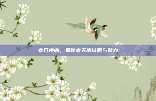春日序曲,揭秘春天的诗意与魅力