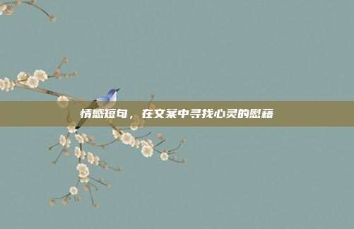 情感短句,在文案中寻找心灵的慰藉
