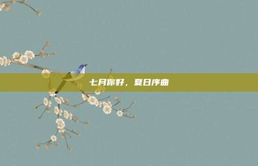 七月你好,夏日序曲