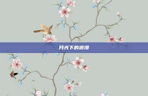 月光下的浪漫