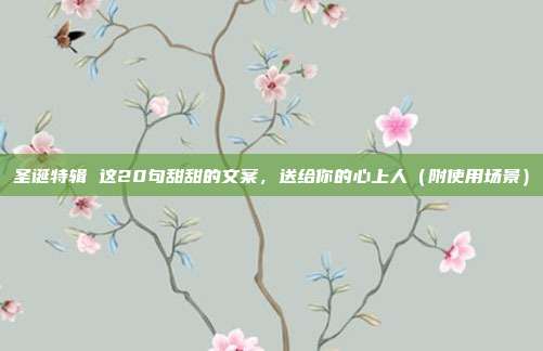 圣诞特辑 这20句甜甜的文案，送给你的心上人（附使用场景）