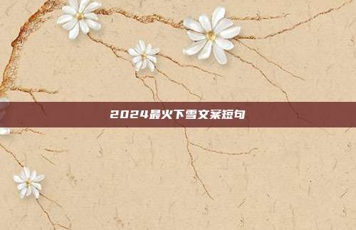2024最火下雪文案短句