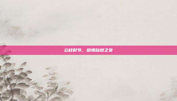 立秋时节,感悟自然之变