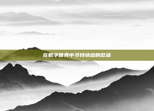 在数字世界中寻找情感的慰藉