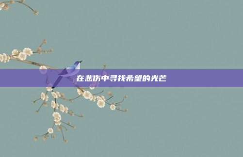 在悲伤中寻找希望的光芒