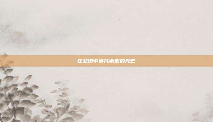 在悲伤中寻找希望的光芒