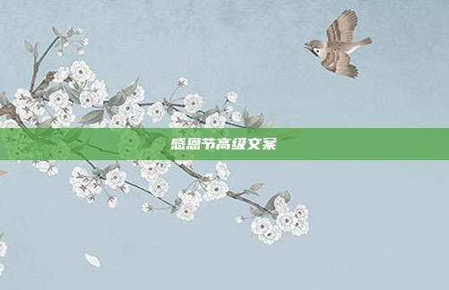 感恩节高级文案