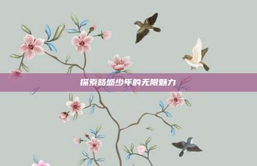 探索路感少年的无限魅力