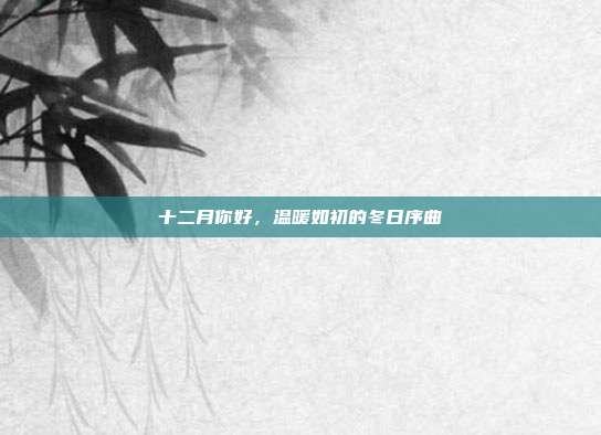十二月你好,温暖如初的冬日序曲
