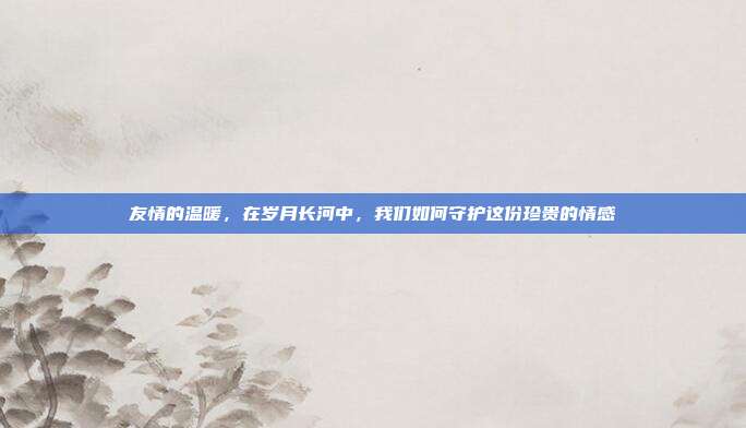 友情的温暖,在岁月长河中,我们如何守护这份珍贵的情感