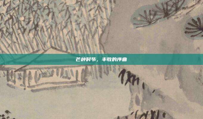 芒种时节,丰收的序曲