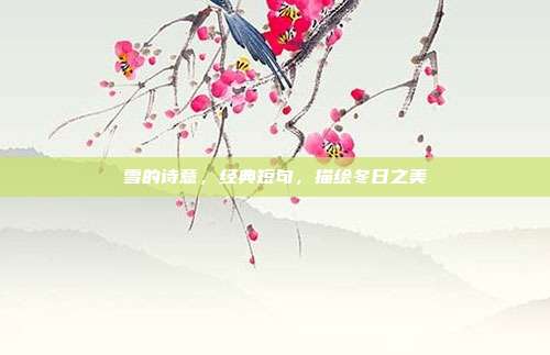 雪的诗意,经典短句,描绘冬日之美