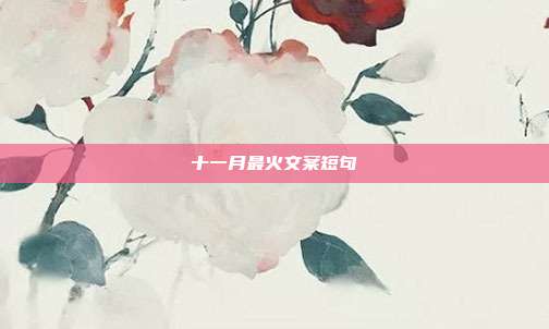 十一月最火文案短句
