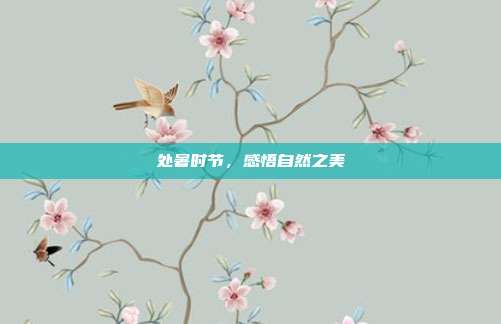 处暑时节,感悟自然之美