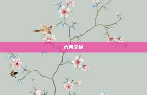 六月文案