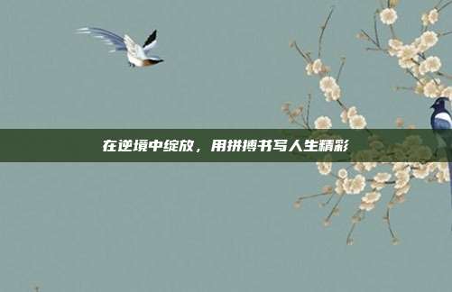 在逆境中绽放,用拼搏书写人生精彩