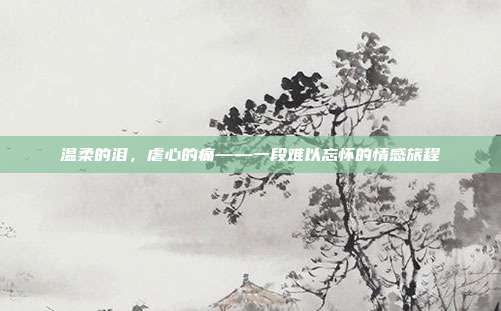 温柔的泪,虐心的痛——一段难以忘怀的情感旅程